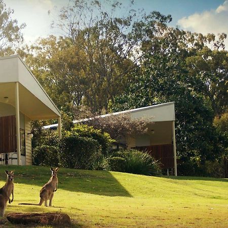Boonah Valley Motel Buitenkant foto