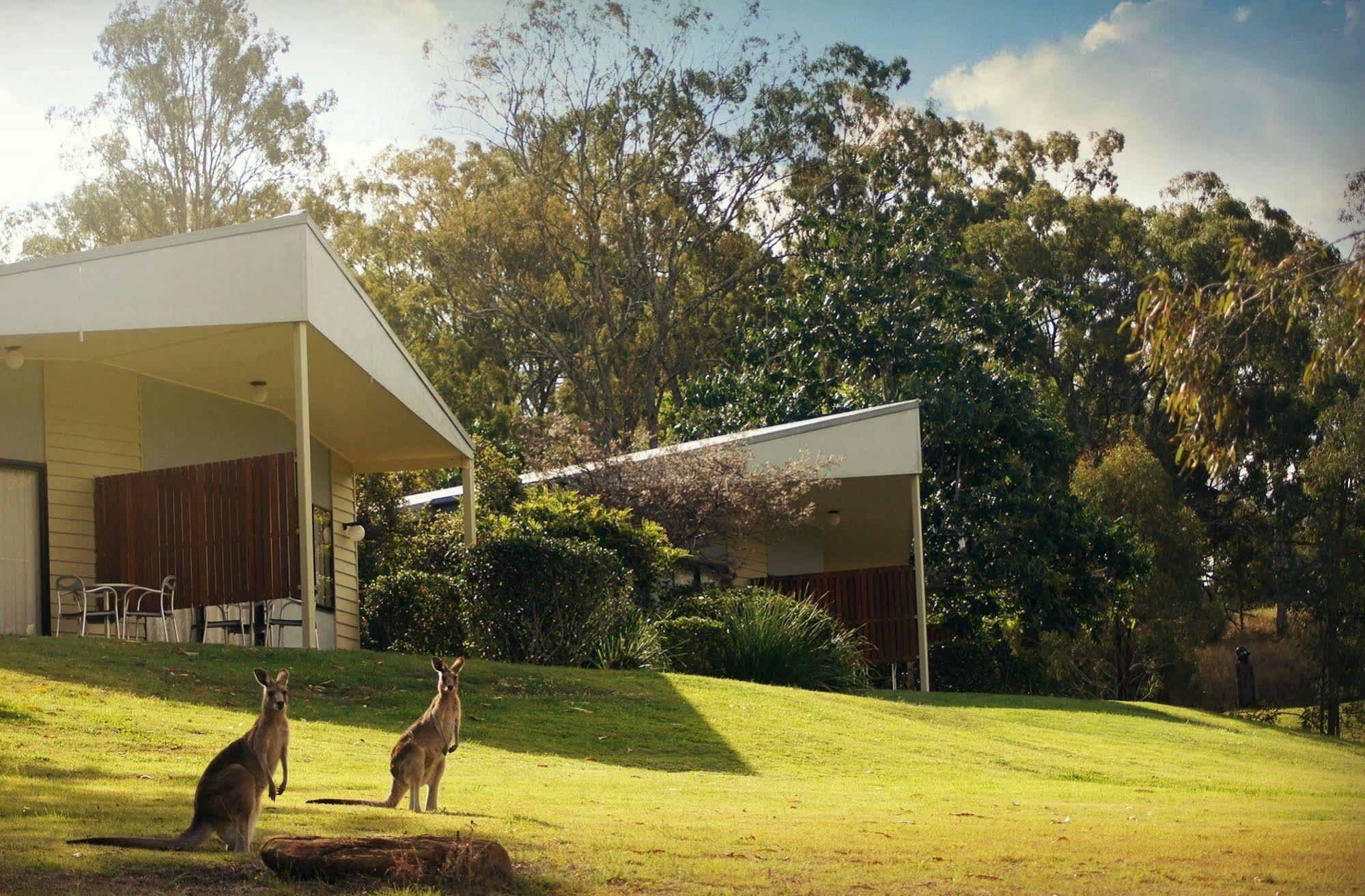 Boonah Valley Motel Buitenkant foto